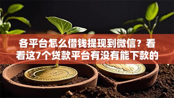 各平台怎么借钱提现到微信？看看这7个贷款平台有没有能下款的