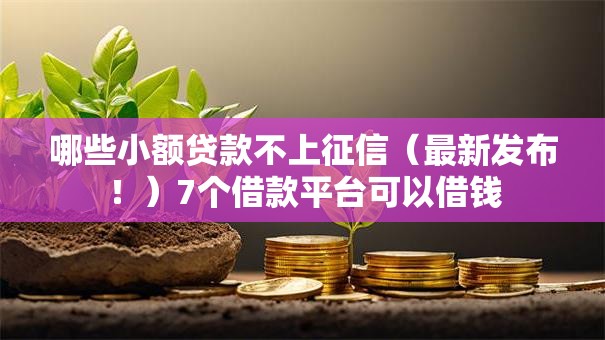 哪些小额贷款不上征信（最新发布！）7个借款平台可以借钱