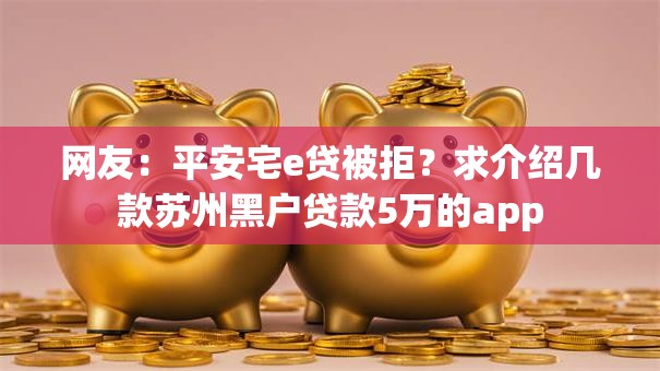 网友：平安宅e贷被拒？求介绍几款苏州黑户贷款5万的app