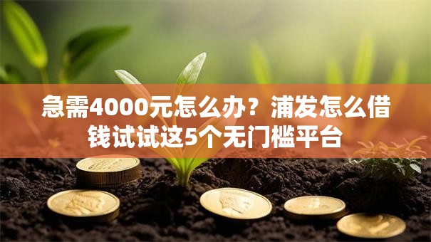 急需4000元怎么办？浦发怎么借钱试试这5个无门槛平台