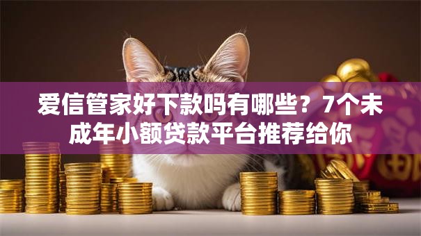 爱信管家好下款吗有哪些？7个未成年小额贷款平台推荐给你