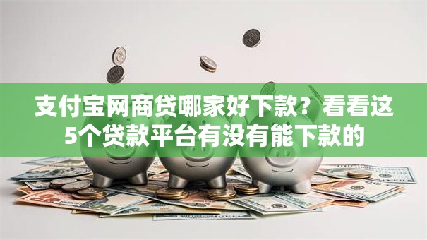 支付宝网商贷哪家好下款？看看这5个贷款平台有没有能下款的