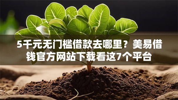 5千元无门槛借款去哪里？美易借钱官方网站下载看这7个平台