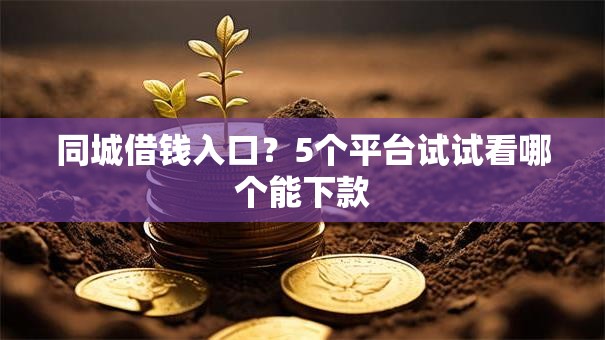 同城借钱入口？5个平台试试看哪个能下款