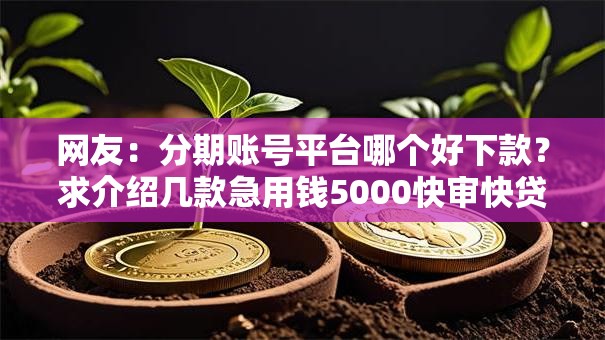 网友：分期账号平台哪个好下款？求介绍几款急用钱5000快审快贷无需征信口子
