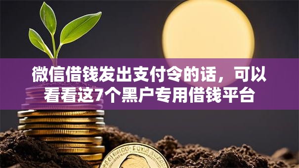 微信借钱发出支付令的话，可以看看这7个黑户专用借钱平台
