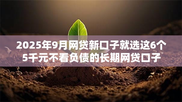 2025年9月网贷新口子就选这6个5千元不看负债的长期网贷口子