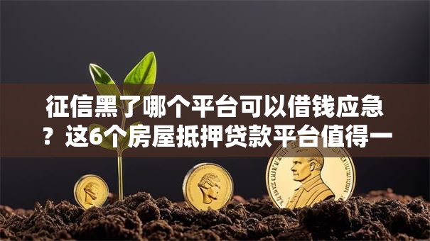 征信黑了哪个平台可以借钱应急？这6个房屋抵押贷款平台值得一试