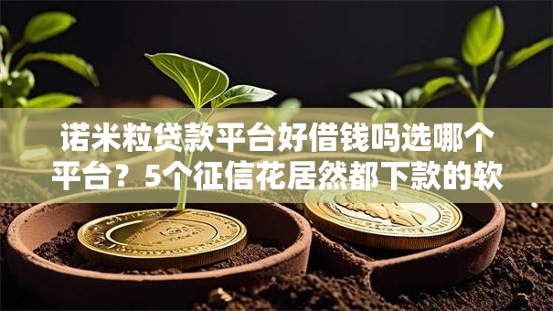 诺米粒贷款平台好借钱吗选哪个平台？5个征信花居然都下款的软件推荐