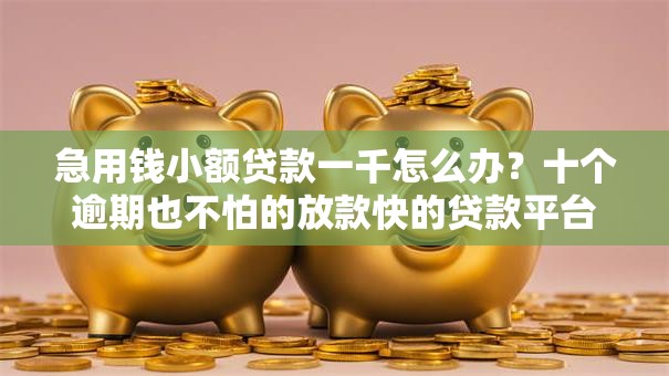 急用钱小额贷款一千怎么办？十个逾期也不怕的放款快的贷款平台