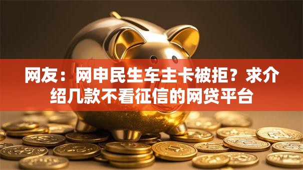 网友：网申民生车主卡被拒？求介绍几款不看征信的网贷平台
