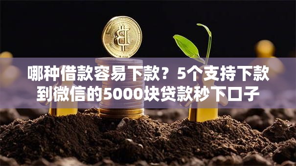 哪种借款容易下款？5个支持下款到微信的5000块贷款秒下口子