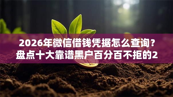 2026年微信借钱凭据怎么查询？盘点十大靠谱黑户百分百不拒的2000借款口子