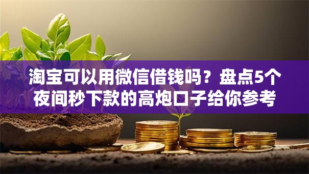 淘宝可以用微信借钱吗？盘点5个夜间秒下款的高炮口子给你参考