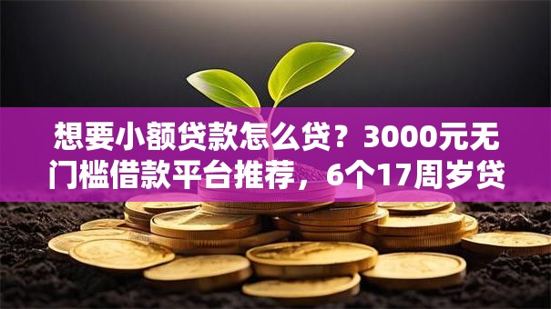 想要小额贷款怎么贷？3000元无门槛借款平台推荐，6个17周岁贷款平台盘点
