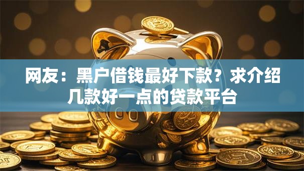 网友：黑户借钱最好下款？求介绍几款好一点的贷款平台