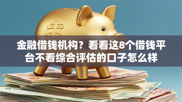 金融借钱机构？看看这8个借钱平台不看综合评估的口子怎么样