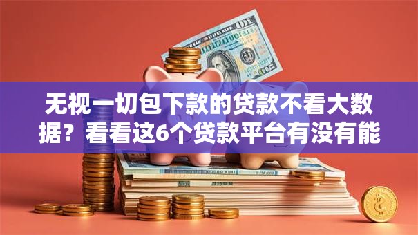无视一切包下款的贷款不看大数据？看看这6个贷款平台有没有能下款的
