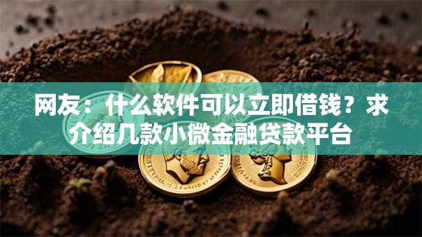 网友：什么软件可以立即借钱？求介绍几款小微金融贷款平台
