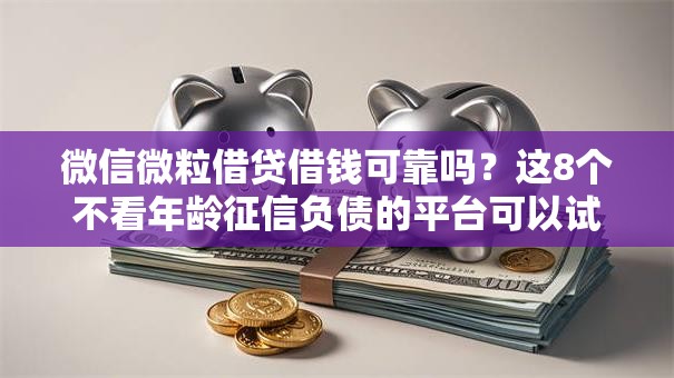 微信微粒借贷借钱可靠吗？这8个不看年龄征信负债的平台可以试试
