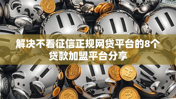 解决不看征信正规网贷平台的8个贷款加盟平台分享