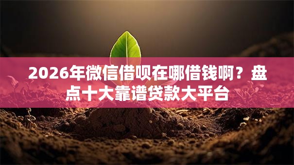 2026年微信借呗在哪借钱啊？盘点十大靠谱贷款大平台