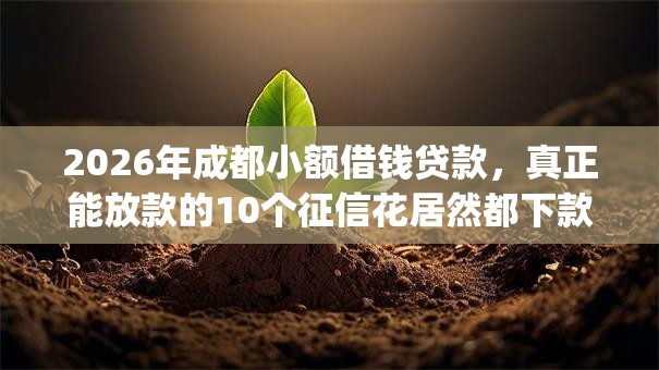 2026年成都小额借钱贷款，真正能放款的10个征信花居然都下款的app推荐