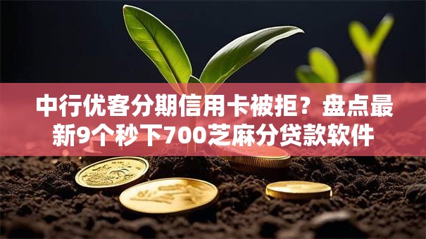 中行优客分期信用卡被拒？盘点最新9个秒下700芝麻分贷款软件