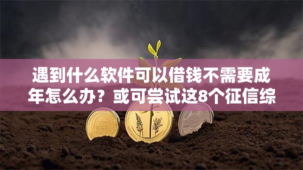 遇到什么软件可以借钱不需要成年怎么办？或可尝试这8个征信综合评分不足能下款的平台
