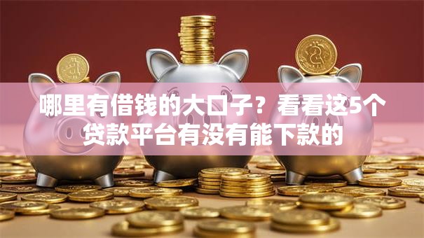 哪里有借钱的大口子？看看这5个贷款平台有没有能下款的