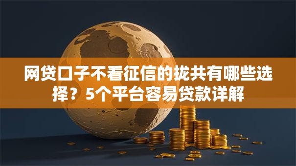 网贷口子不看征信的拢共有哪些选择？5个平台容易贷款详解