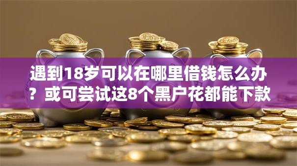 遇到18岁可以在哪里借钱怎么办？或可尝试这8个黑户花都能下款的平台啊