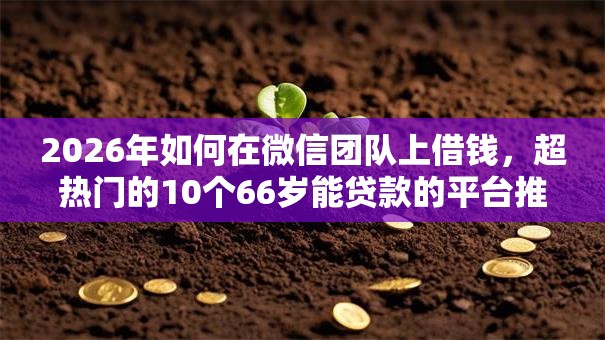 2026年如何在微信团队上借钱，超热门的10个66岁能贷款的平台推荐