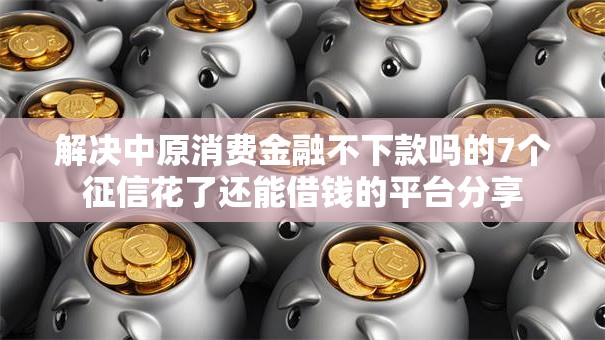 解决中原消费金融不下款吗的7个征信花了还能借钱的平台分享