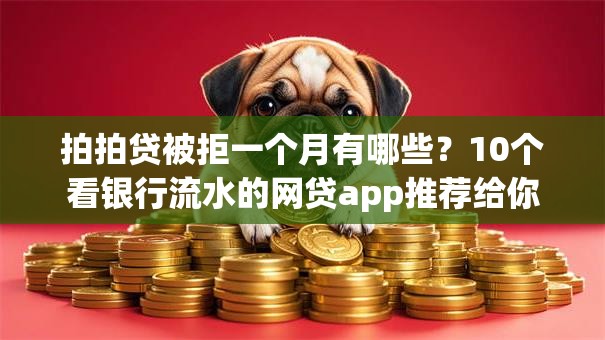 拍拍贷被拒一个月有哪些？10个看银行流水的网贷app推荐给你