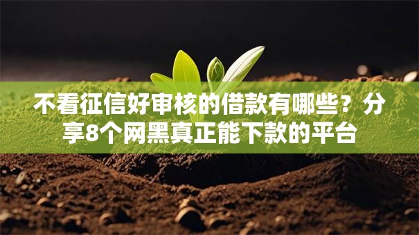 不看征信好审核的借款有哪些？分享8个网黑真正能下款的平台