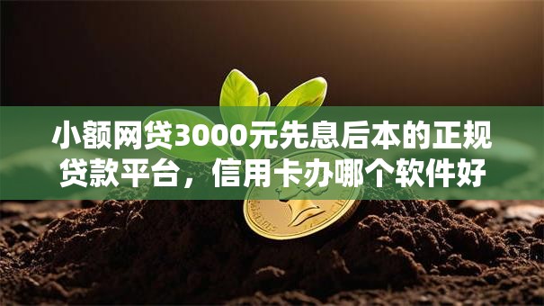 小额网贷3000元先息后本的正规贷款平台，信用卡办哪个软件好下款的7个平台介绍