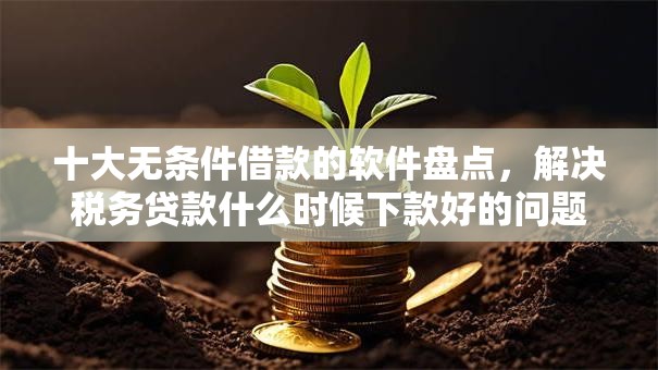 十大无条件借款的软件盘点，解决税务贷款什么时候下款好的问题