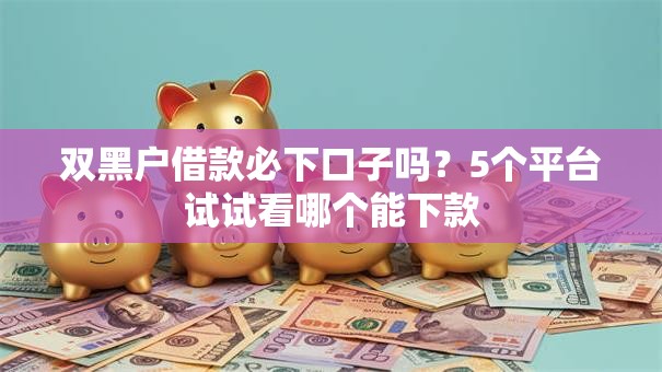双黑户借款必下口子吗？5个平台试试看哪个能下款