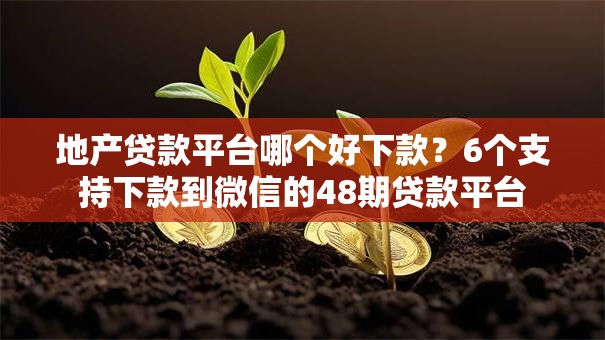 地产贷款平台哪个好下款？6个支持下款到微信的48期贷款平台