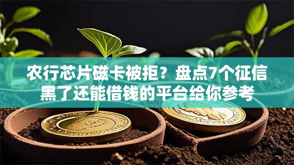 农行芯片磁卡被拒？盘点7个征信黑了还能借钱的平台给你参考