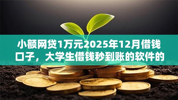 小额网贷1万元2025年12月借钱口子，大学生借钱秒到账的软件的6个平台介绍