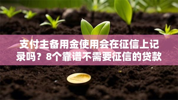 支付主备用金使用会在征信上记录吗？8个靠谱不需要征信的贷款平台推荐