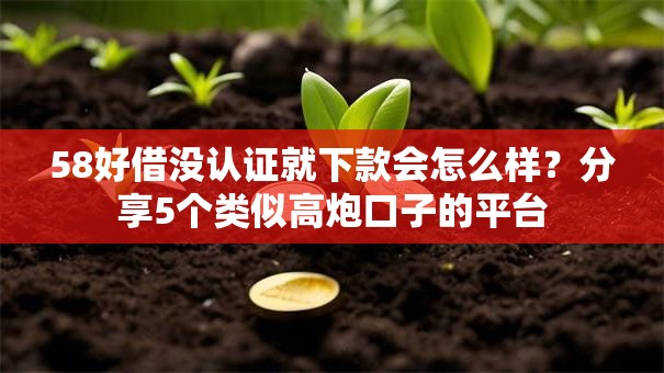 58好借没认证就下款会怎么样？分享5个类似高炮口子的平台