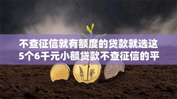 不查征信就有额度的贷款就选这5个6千元小额贷款不查征信的平台