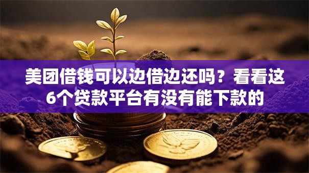 美团借钱可以边借边还吗？看看这6个贷款平台有没有能下款的