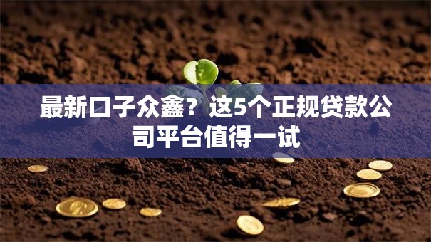 最新口子众鑫？这5个正规贷款公司平台值得一试