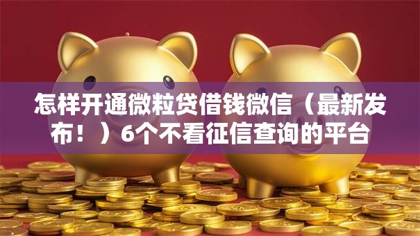 怎样开通微粒贷借钱微信（最新发布！）6个不看征信查询的平台