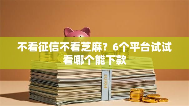 不看征信不看芝麻？6个平台试试看哪个能下款