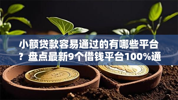 小额贷款容易通过的有哪些平台？盘点最新9个借钱平台100%通过